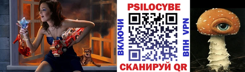 что такое наркотик  Стерлитамак  darknet Telegram  Галлюциногенные грибы Psilocybine cubensis 