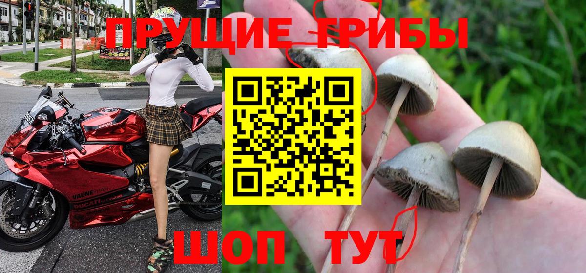 Стерлитамак  Галлюциногенные грибы Cubensis  как найти закладки  Вход с VPN 