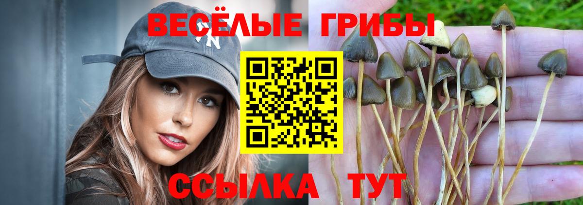 Галлюциногенные грибы мухоморы  где купить наркоту  Стерлитамак 