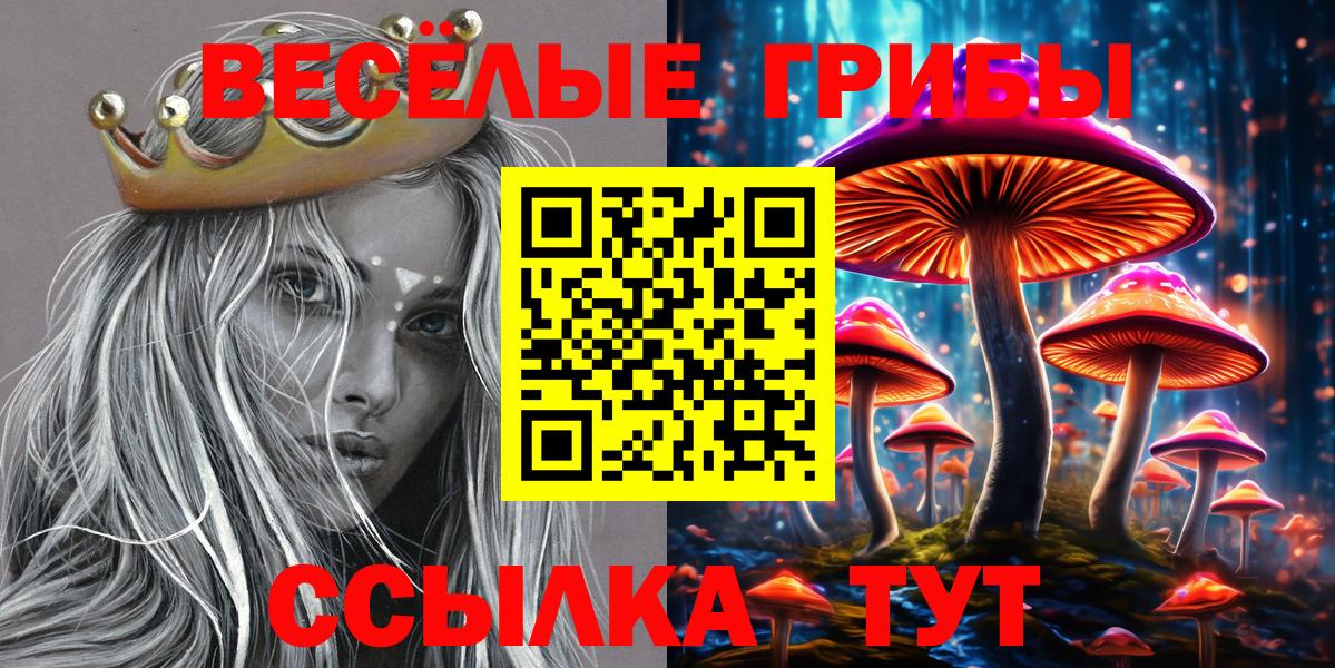 Псилоцибиновые грибы ЛСД Стерлитамак