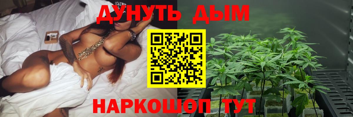 Конопля White Widow  Вход с VPN  Каннабис план  Стерлитамак  Бошки Шишки сатива 